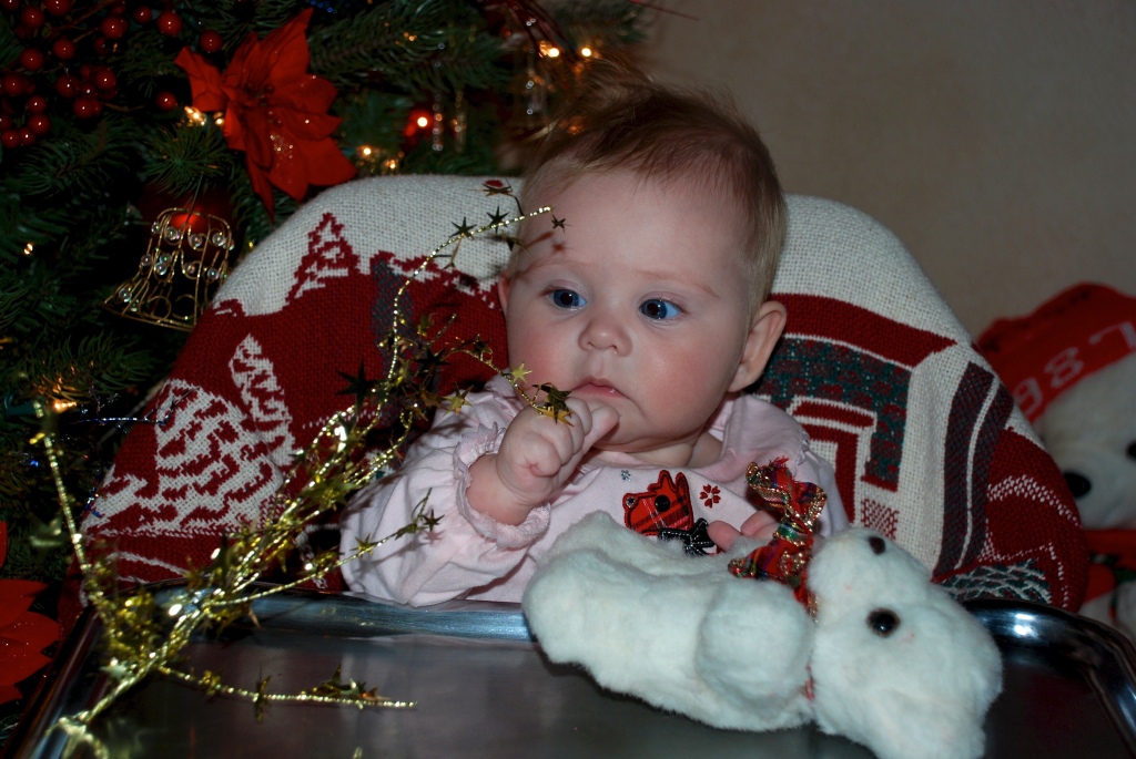 Hildebrand Christmas ScreenSaver/1024x768_2008-11-28-13 Sydney early Christmas at Grandmas.jpg